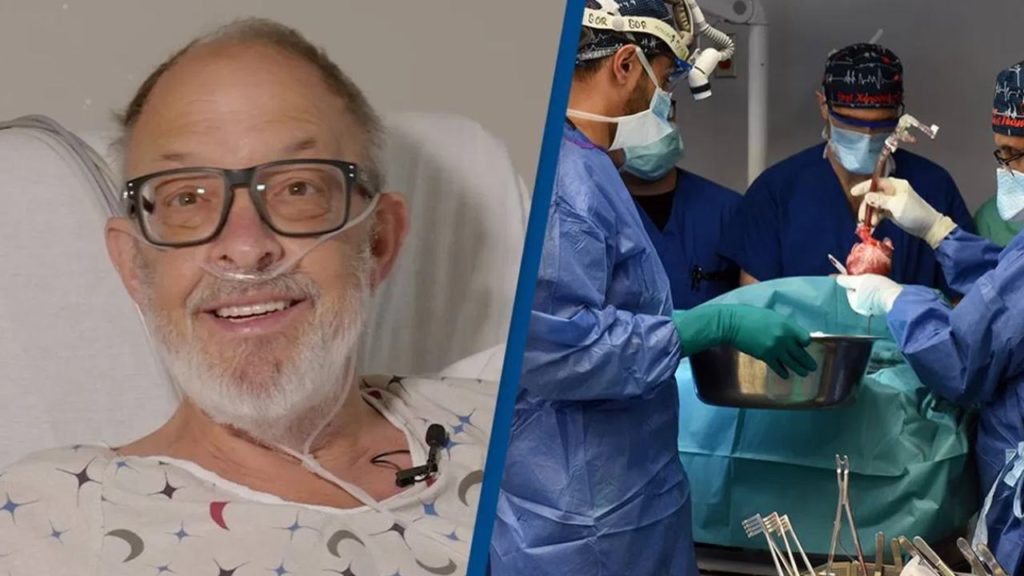 Pig Heart Transplant Patient Died