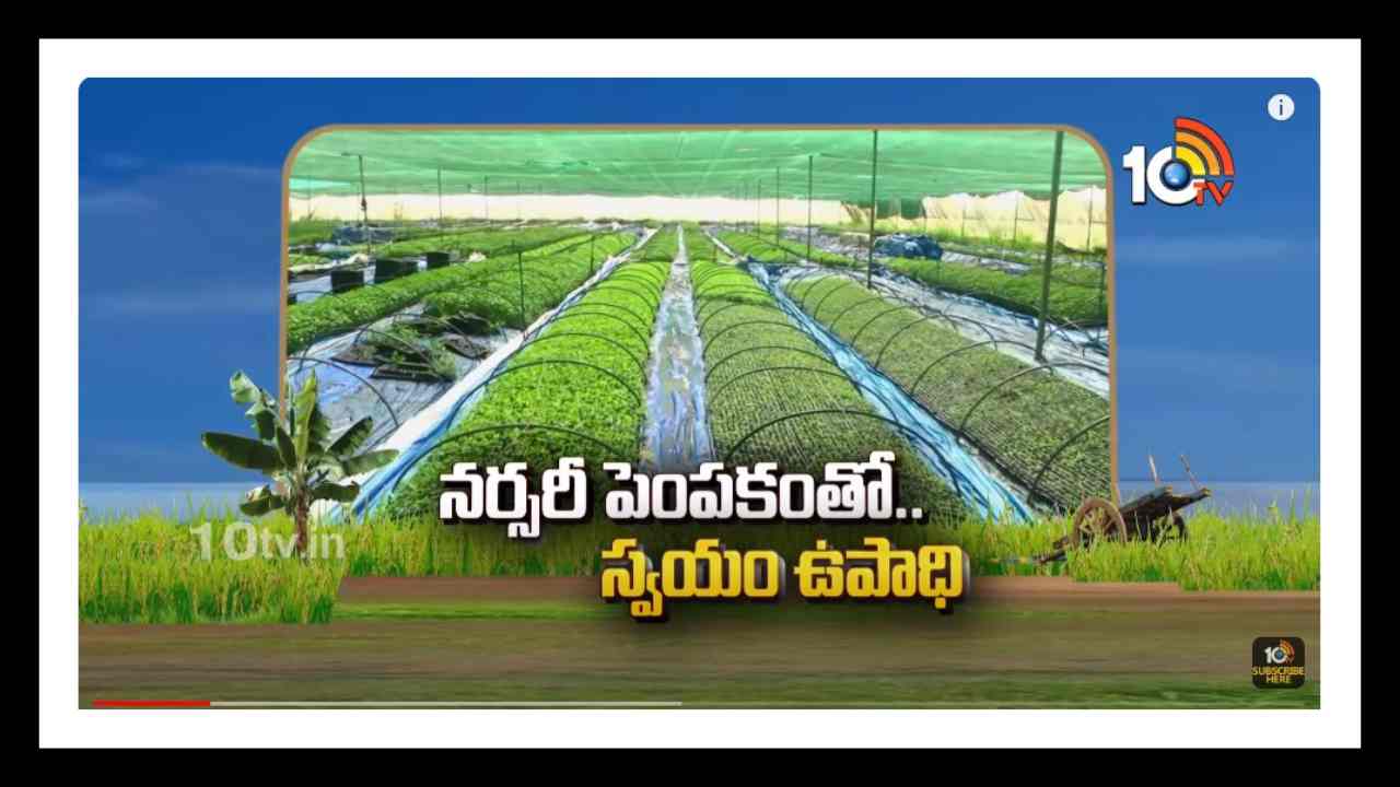 Nursery Development : నర్సరీ నిర్వహణతో స్వయం ఉపాధి.. సమయం, డబ్బు ఆదా అవుతుందంటున్న రైతు Nursery Development : నర్సరీ నిర్వహణతో స్వయం ఉపాధి.. సమయం, డబ్బు ఆదా అవుతుందంటున్న రైతు