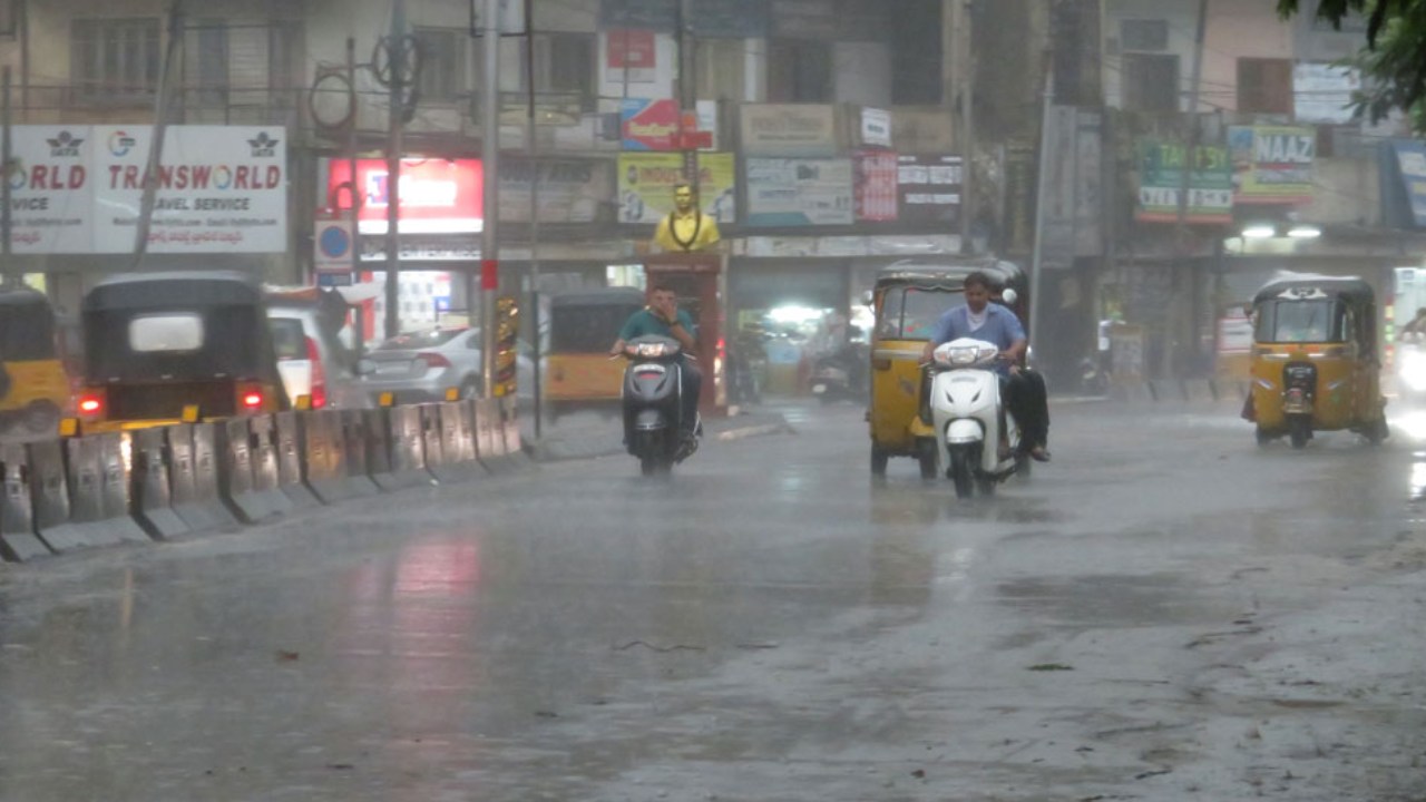 Rain