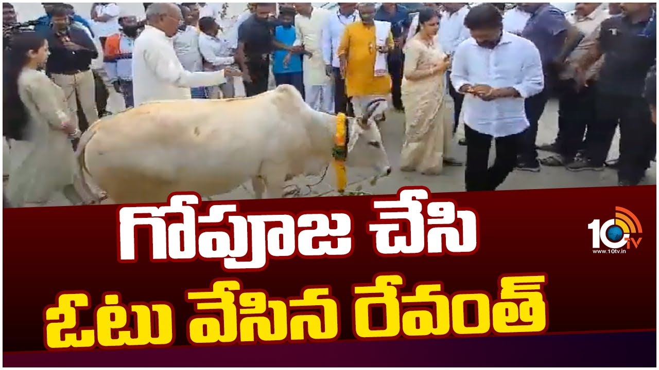 Revanth Reddy : గోపూజ చేసిన ఓటు వేసిన రేవంత్ రెడ్డి, నాగార్జున సాగర్ ఘటనకు కేసీఆరే కారణమంటూ ఆగ్రహం Revanth Reddy : గోపూజ చేసిన ఓటు వేసిన రేవంత్ రెడ్డి, నాగార్జున సాగర్ ఘటనకు కేసీఆరే కారణమంటూ ఆగ్రహం