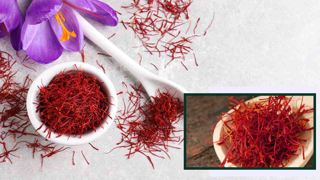 Saffron Health Benefits : గుండె ఆరోగ్యాన్ని మెరుగుపరచటంతోపాటు మానసిక స్థితిని పెంచే కుంకుమ పువ్వు ! Saffron Health Benefits : గుండె ఆరోగ్యాన్ని మెరుగుపరచటంతోపాటు మానసిక స్థితిని పెంచే కుంకుమ పువ్వు !