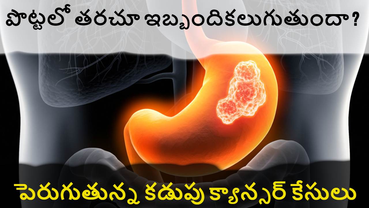 Stomach Cancer : పొట్టలో తరచూ ఇబ్బందికలుగుతుందా ? అయితే జాగ్రత్త పడాల్సిందే.. Stomach Cancer : పొట్టలో తరచూ ఇబ్బందికలుగుతుందా ? అయితే జాగ్రత్త పడాల్సిందే..