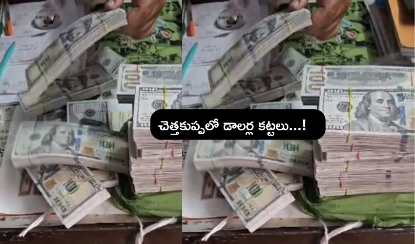 US Dollars Bundles in Bengaluru garbage