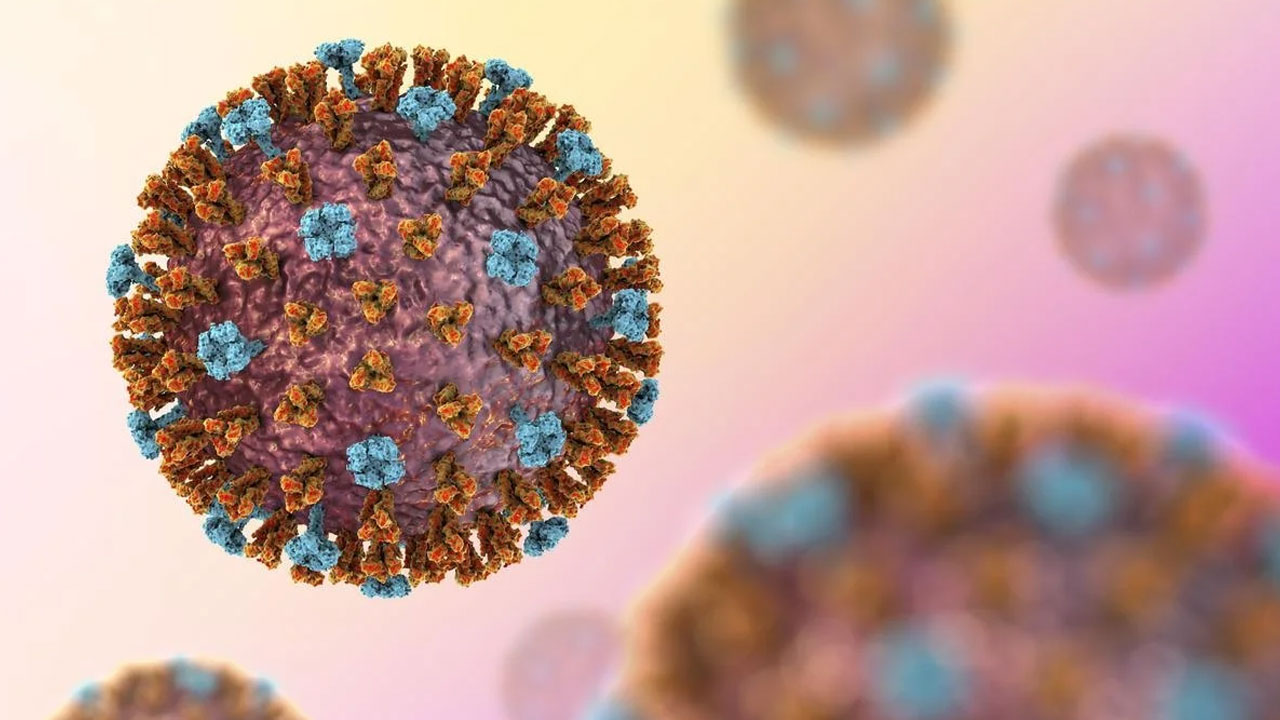 H9n2: కొవిడ్ తర్వాత చైనా నుంచి మరో మహమ్మారి.. వేగంగా వ్యాపిస్తున్న హెచ్9ఎన్2 H9n2: కొవిడ్ తర్వాత చైనా నుంచి మరో మహమ్మారి.. వేగంగా వ్యాపిస్తున్న హెచ్9ఎన్2