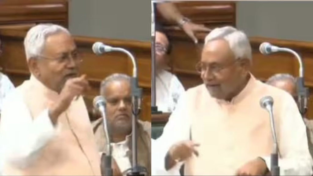 Bihar CM Nitish Kumar made bizarre remarks in the Assembly