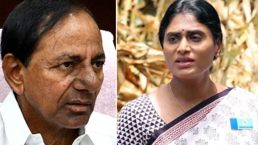 YSRTP Chief Sharmila,