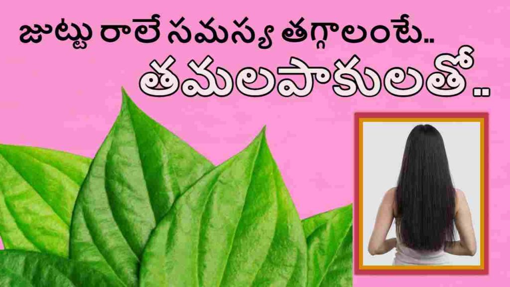 betel leaves