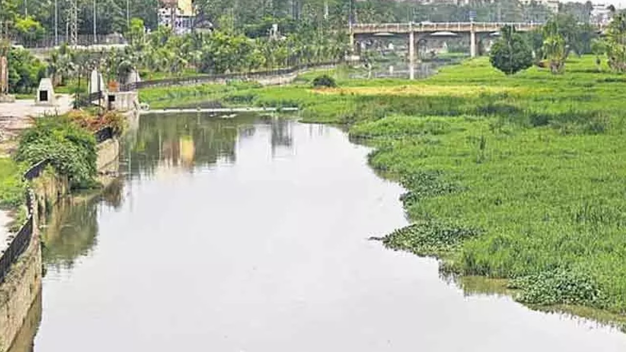 Musi River : మూసీలో మొసలి .. హడలిపోయిన స్థానికులు Musi River : మూసీలో మొసలి .. హడలిపోయిన స్థానికులు