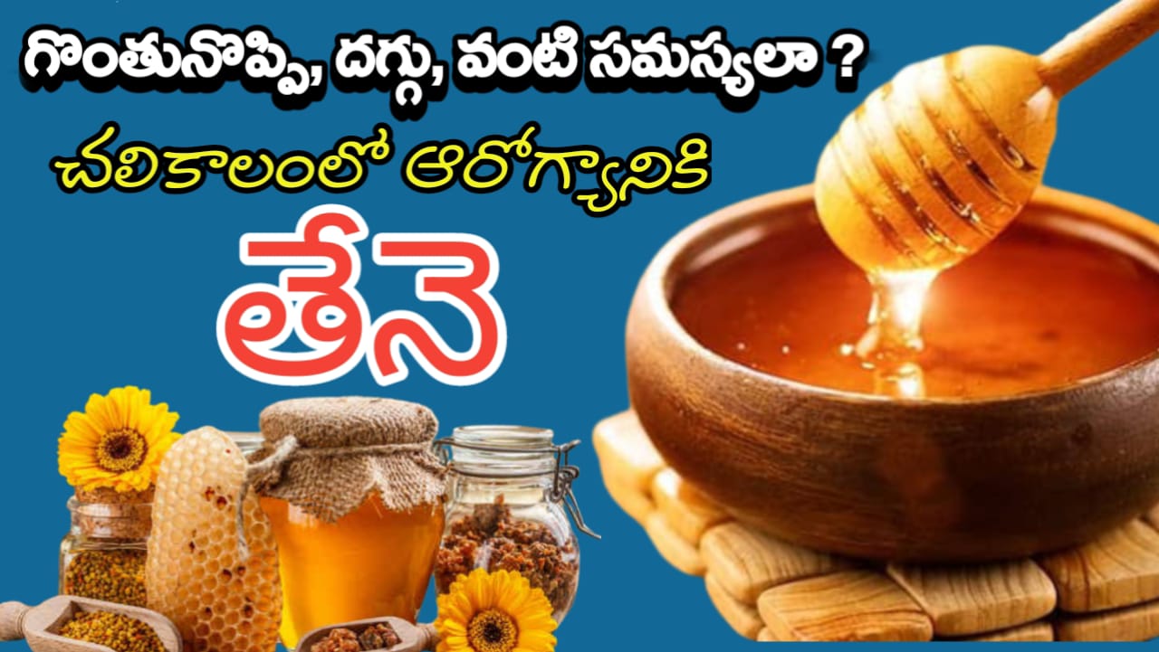Honey Benefits : శీతాకాలంలో గొంతు నొప్పి, దగ్గు వంటి ఇన్ ఫెక్షన్స్ నుండి రక్షణ కలిగించే అమృతం ఇదే ! Honey Benefits : శీతాకాలంలో గొంతు నొప్పి, దగ్గు వంటి ఇన్ ఫెక్షన్స్ నుండి రక్షణ కలిగించే అమృతం ఇదే !
