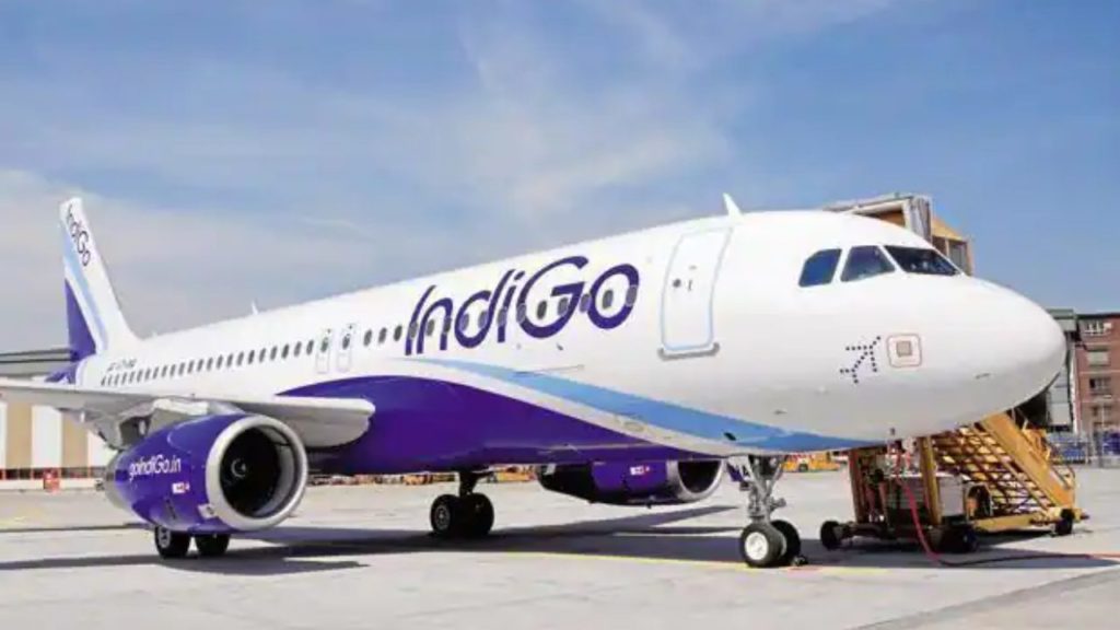 indigo flight
