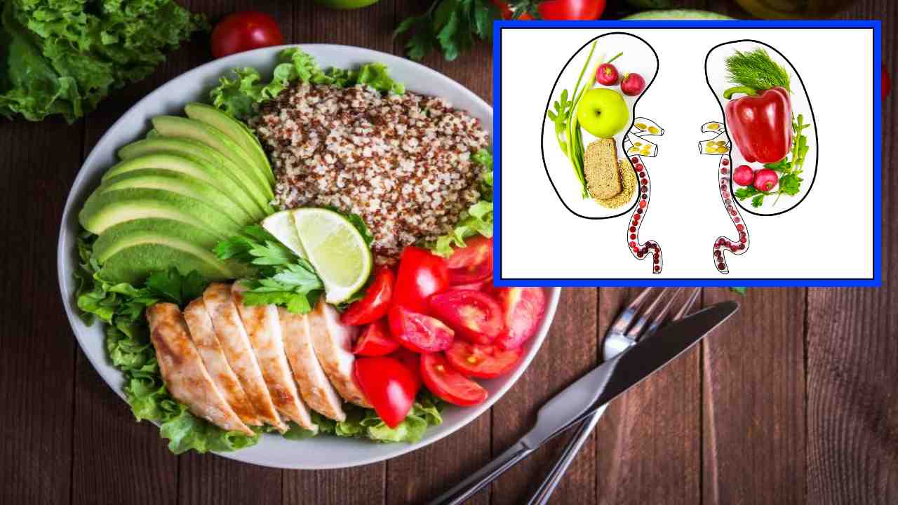 Healthy kidney : మూత్ర పిండాల ఆరోగ్యానికి తీసుకోవాల్సిన ఆహారాలు ఇవే ? Healthy kidney : మూత్ర పిండాల ఆరోగ్యానికి తీసుకోవాల్సిన ఆహారాలు ఇవే ?