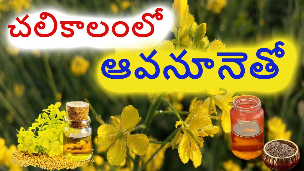 Benefits of Mustard Oil : చలికాలంలో ఆవనూనెతో ఎన్నో లాభాలు తెలుసా ? Benefits of Mustard Oil : చలికాలంలో ఆవనూనెతో ఎన్నో లాభాలు తెలుసా ?