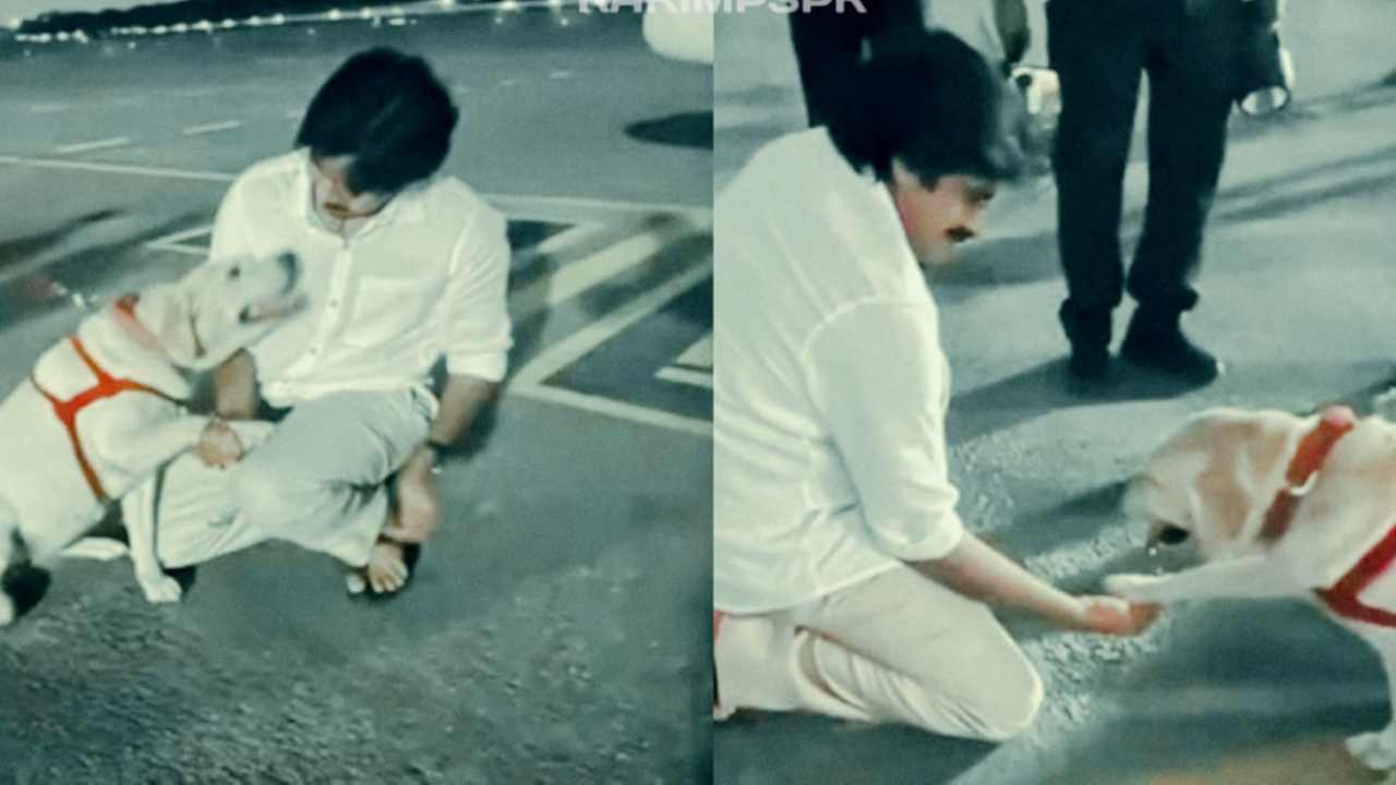 Pawan Kalyan : పవన్ కళ్యాణ్ కొత్త ఇన్స్టాగ్రామ్ పోస్ట్ చూశారా? కుక్క గురించి ఆసక్తికర పోస్ట్.. Pawan Kalyan : పవన్ కళ్యాణ్ కొత్త ఇన్స్టాగ్రామ్ పోస్ట్ చూశారా? కుక్క గురించి ఆసక్తికర పోస్ట్..