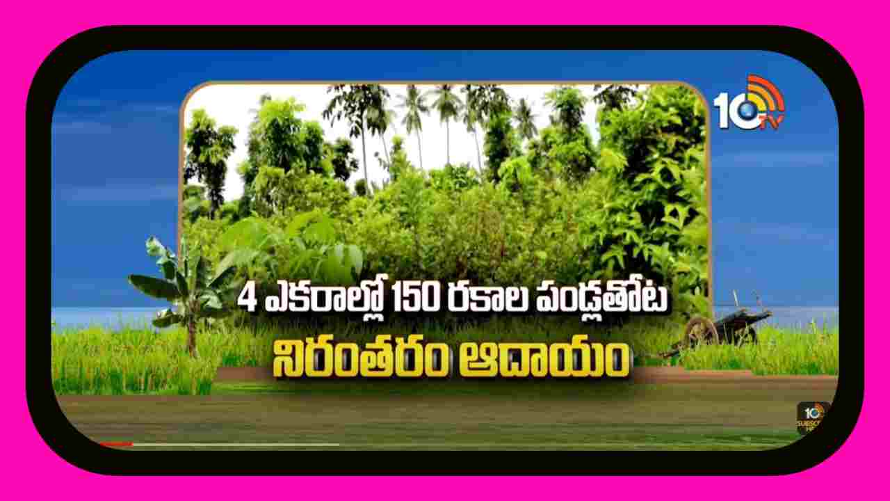 Agriculture Tips : 4 ఎకరాల్లో 150 రకాల పండ్లతోట నిరంతరం ఆదాయం Agriculture Tips : 4 ఎకరాల్లో 150 రకాల పండ్లతోట నిరంతరం ఆదాయం