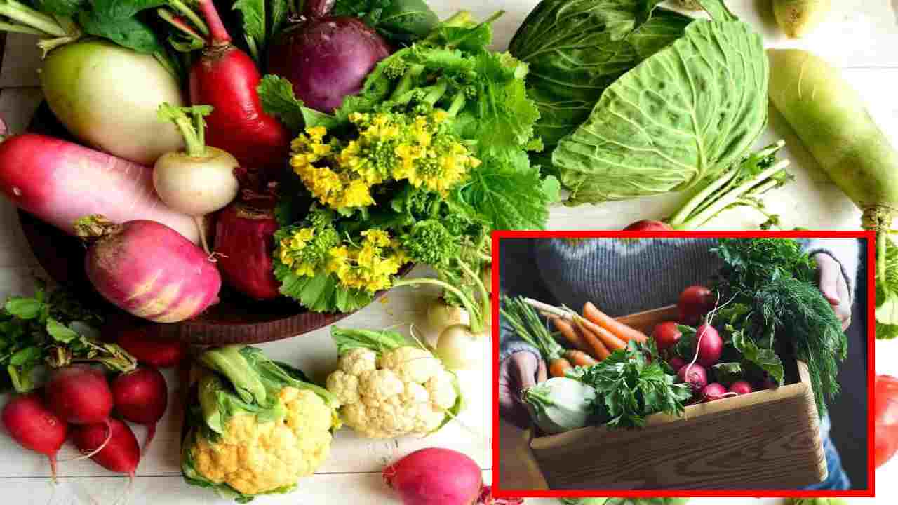 Winter Vegetables : శీతాకాలంలో తప్పనిసరిగా తీసుకోవాల్సిన కూరగాయలు ఇవే ? Winter Vegetables : శీతాకాలంలో తప్పనిసరిగా తీసుకోవాల్సిన కూరగాయలు ఇవే ?