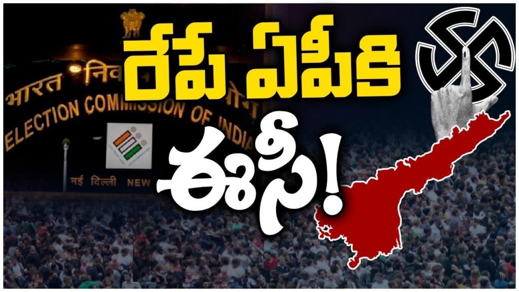 AP Elections 2024