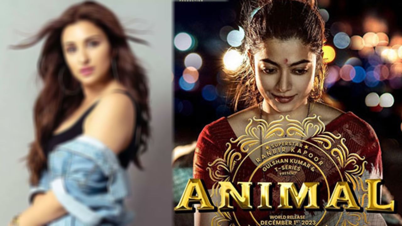 Animal Movie : యానిమల్ మూవీ ఆ హీరోయిన్ చేయాల్సింది.. కానీ రష్మిక ఎంట్రీ.. Animal Movie : యానిమల్ మూవీ ఆ హీరోయిన్ చేయాల్సింది.. కానీ రష్మిక ఎంట్రీ..