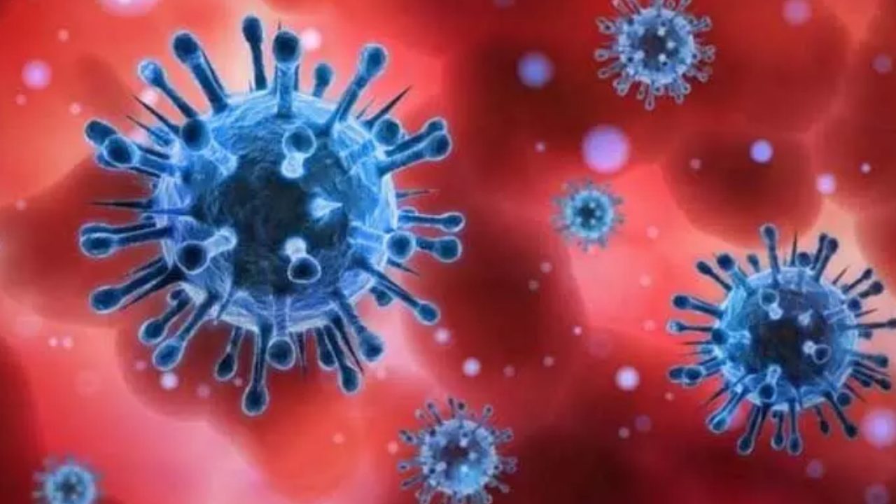 Covid-19 cases : ఏపీలో కరోనా కలకలం.. విశాఖలో మూడు కేసులు నమోదు Covid-19 cases : ఏపీలో కరోనా కలకలం.. విశాఖలో మూడు కేసులు నమోదు