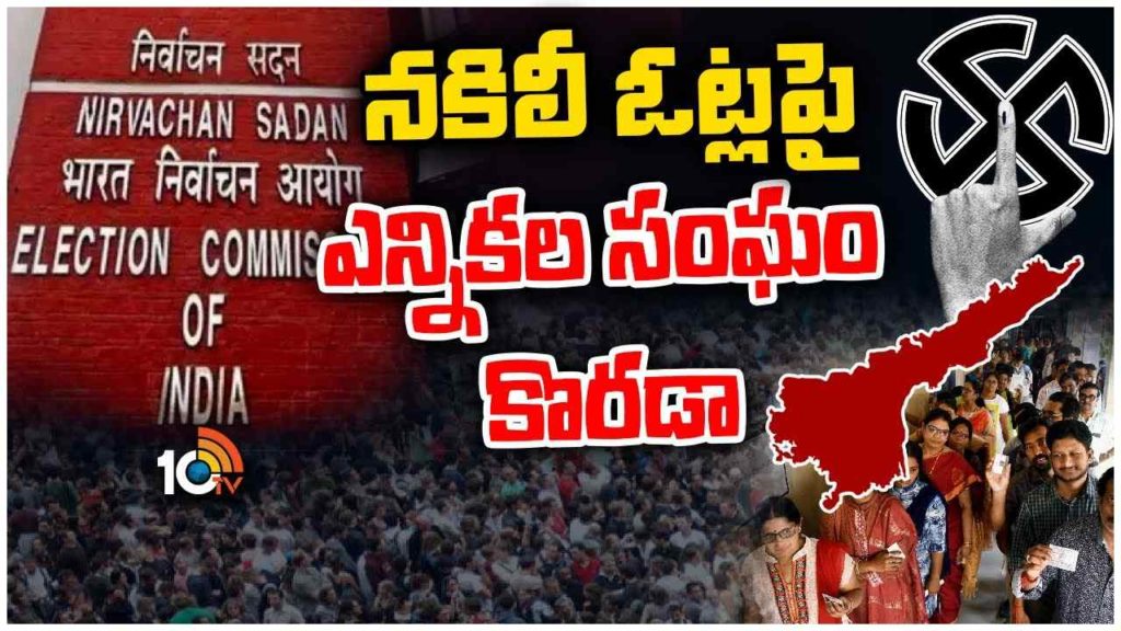Central Election Commission