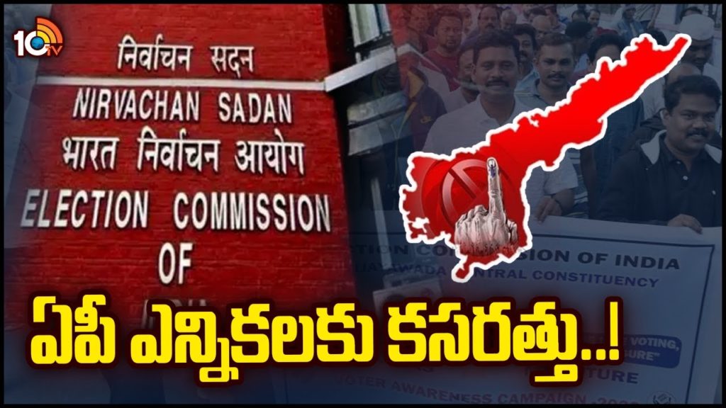 AP Elections 2024