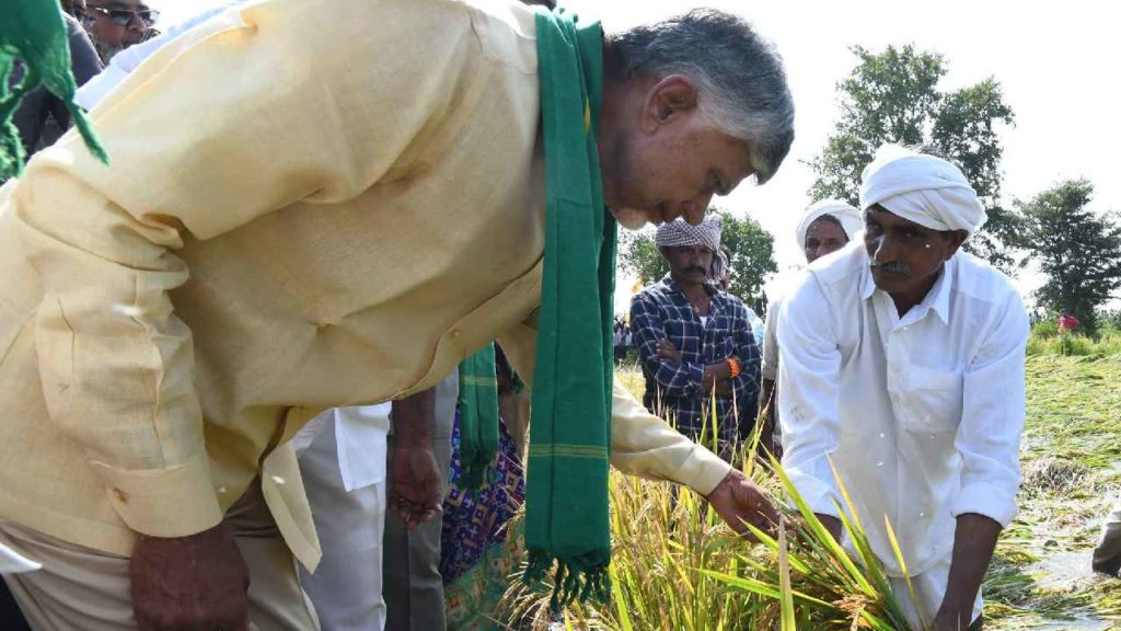 Chandrababu Fires On Jagan