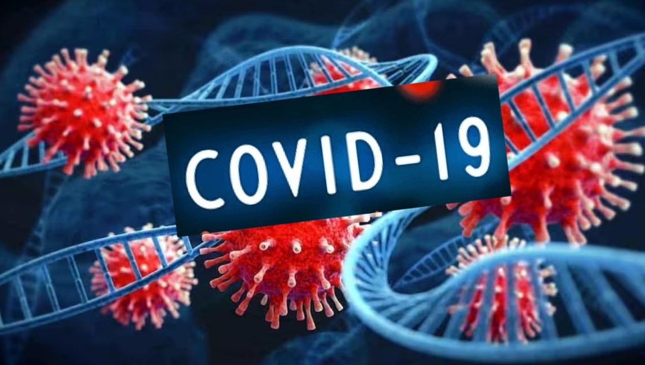 Covid-19 : దక్షిణాది రాష్ట్రాల్లో పెరుగుతున్న కరోనా కేసులు.. తెలుగు రాష్ట్రాల్లోను కొత్త కేసులు నమోదు Covid-19 : దక్షిణాది రాష్ట్రాల్లో పెరుగుతున్న కరోనా కేసులు.. తెలుగు రాష్ట్రాల్లోను కొత్త కేసులు నమోదు