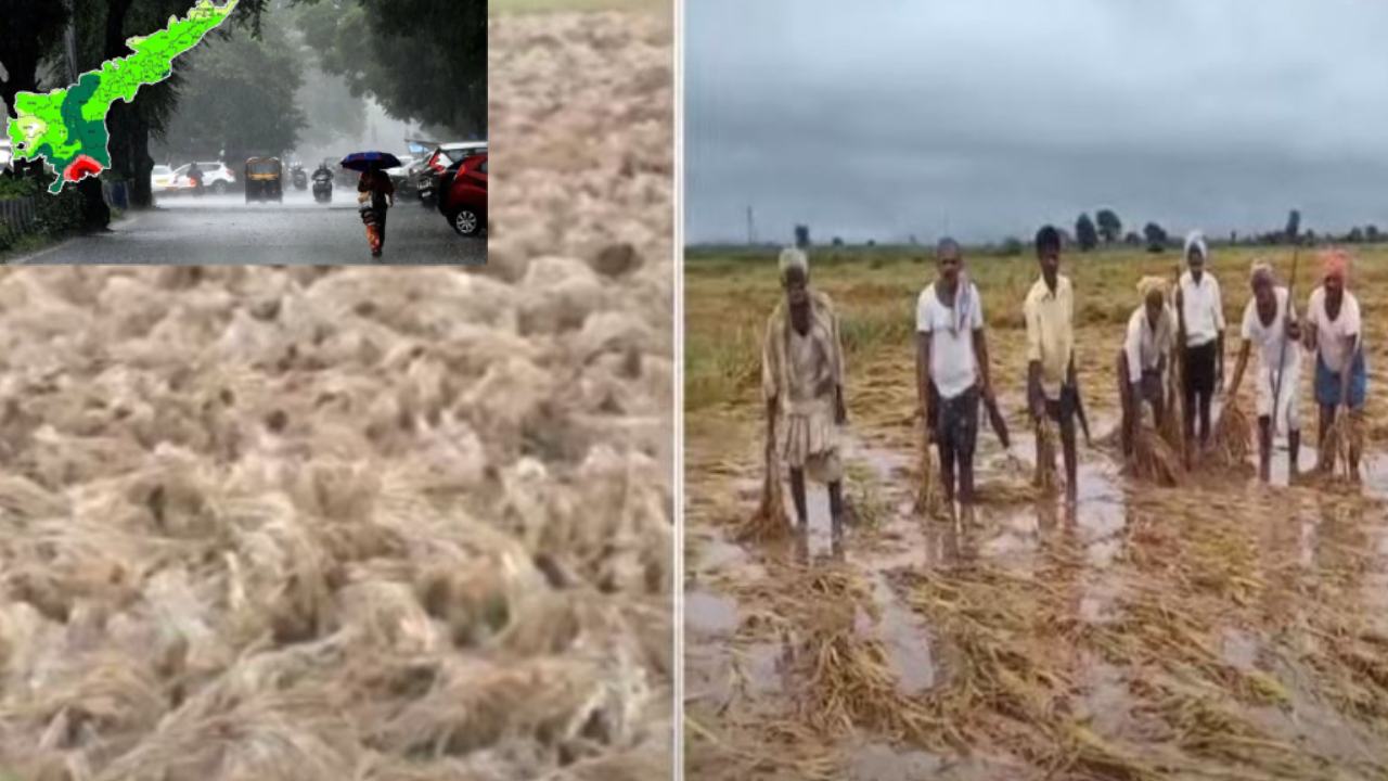 Michaung Cyclone : మిచాంగ్ తుఫాన్ కు ఏపీలో భారీగా పంట నష్టం.. నేటి నుంచి కేంద్ర ప్రత్యేక బృందాల క్షేత్రస్థాయి పరిశీలన Michaung Cyclone : మిచాంగ్ తుఫాన్ కు ఏపీలో భారీగా పంట నష్టం.. నేటి నుంచి కేంద్ర ప్రత్యేక బృందాల క్షేత్రస్థాయి పరిశీలన