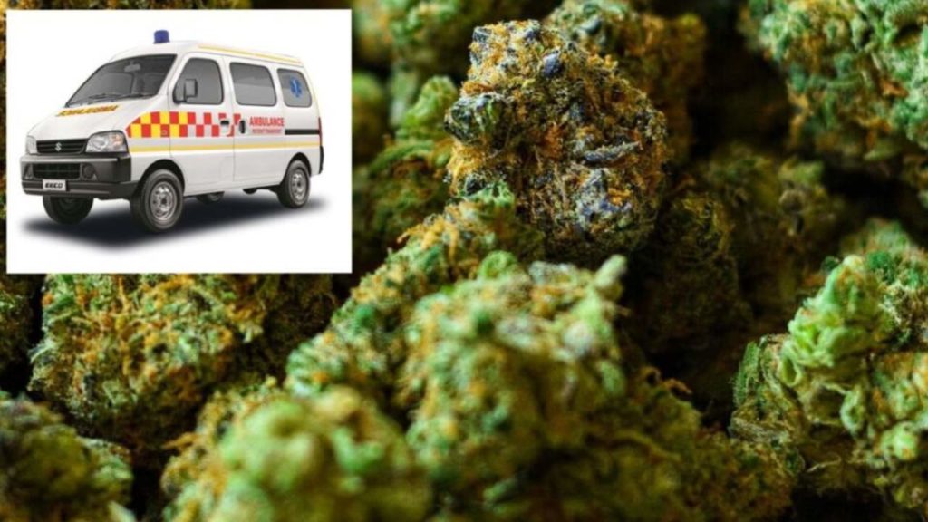 Drugs Seize