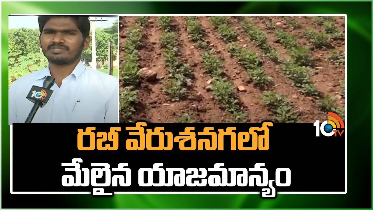 Ground Nut Cultivation : రబీలో వరికి ప్రత్యామ్నాయంగా వేరుశనగ సాగు.. పంటలో చేపట్టాల్సిన యాజమాన్యం Ground Nut Cultivation : రబీలో వరికి ప్రత్యామ్నాయంగా వేరుశనగ సాగు.. పంటలో చేపట్టాల్సిన యాజమాన్యం