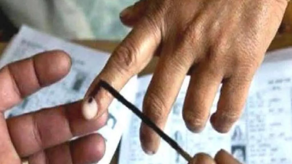 MLC Election