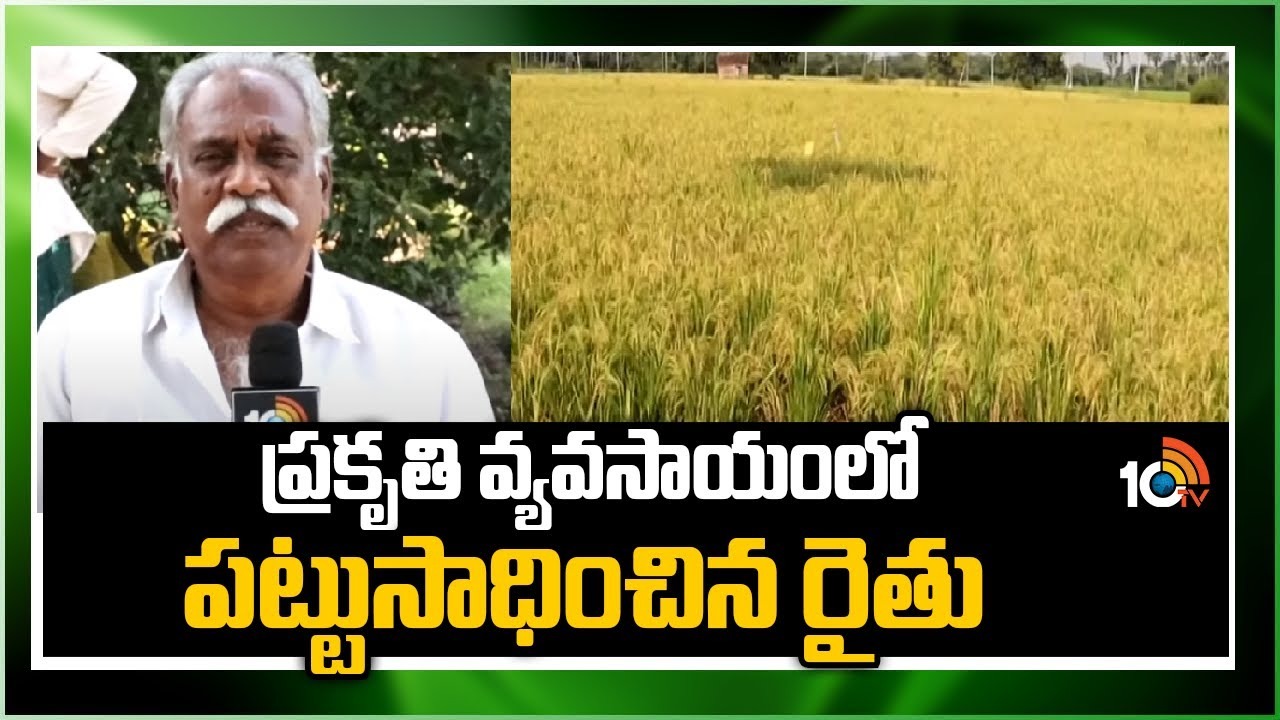 Natural Farming Success Tips : ప్రకృతి వ్యవసాయంలో పట్టుసాధించిన రైతు Natural Farming Success Tips : ప్రకృతి వ్యవసాయంలో పట్టుసాధించిన రైతు