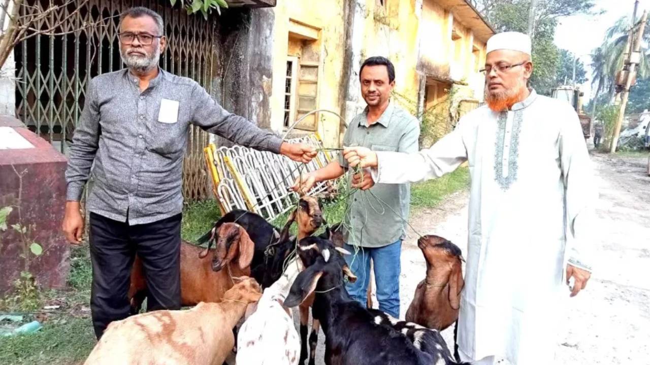Bangladesh : ఏడాదిపాటు జైలు శిక్ష అనుభవించిన మేకలు.. అవి చేసిన తప్పేంటో తెలుసా? Bangladesh : ఏడాదిపాటు జైలు శిక్ష అనుభవించిన మేకలు.. అవి చేసిన తప్పేంటో తెలుసా?