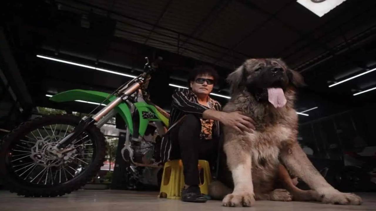 Caucasian Shepherd : ఈ శునకం ఖరీదు అక్షరాల రూ.20 కోట్లు.. ఏంటి అంత స్పెషల్? Caucasian Shepherd : ఈ శునకం ఖరీదు అక్షరాల రూ.20 కోట్లు.. ఏంటి అంత స్పెషల్?