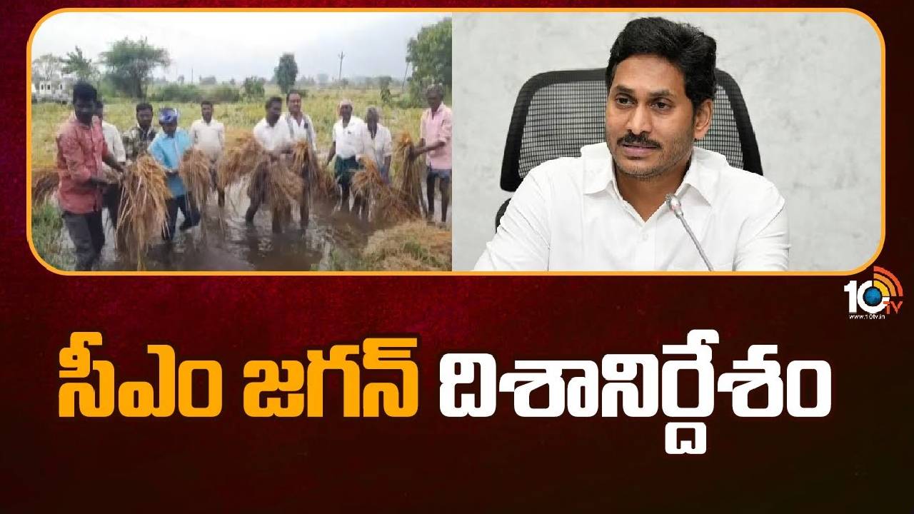 AP Cabinet Meeting Updates : కీలక అంశాలపై చర్చ