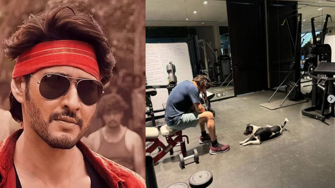 Mahesh Babu : జిమ్లో పెంపుడు కుక్కతో కలిసి మహేష్ బాబు కసరత్తులు Mahesh Babu : జిమ్లో పెంపుడు కుక్కతో కలిసి మహేష్ బాబు కసరత్తులు