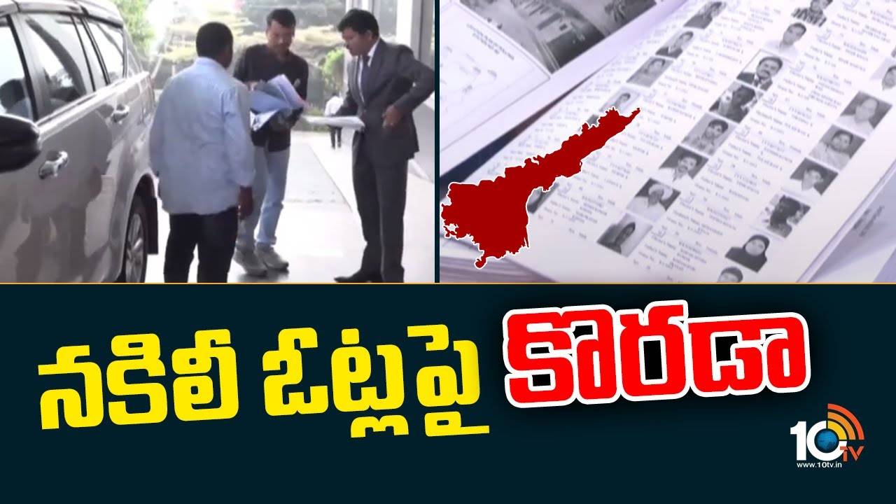 EC Review On Fake votes In AP : ఏపీలో రెండో రోజు కేంద్ర ఎన్నికల సంఘం సమీక్ష