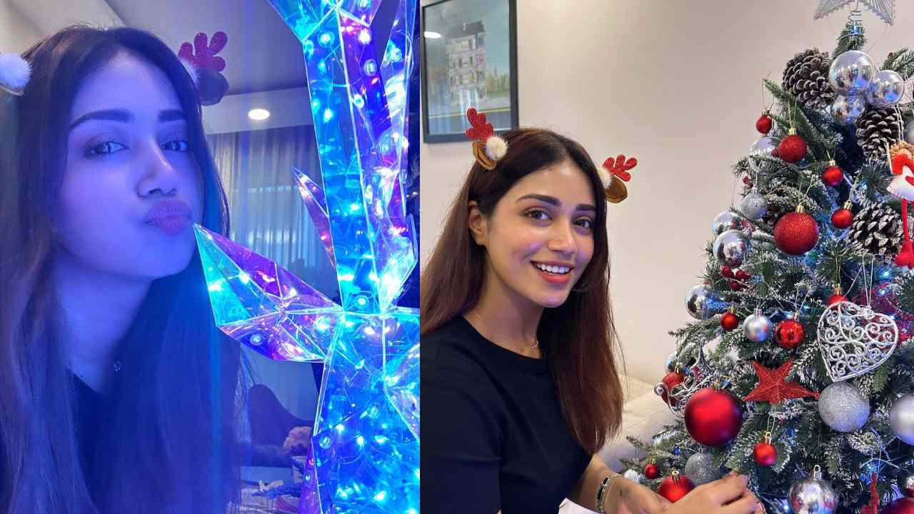 Nivetha Pethuraj : నివేతా పేతురేజ్ క్రిస్మస్ సెలబ్రేషన్స్ ఫొటోలు..
