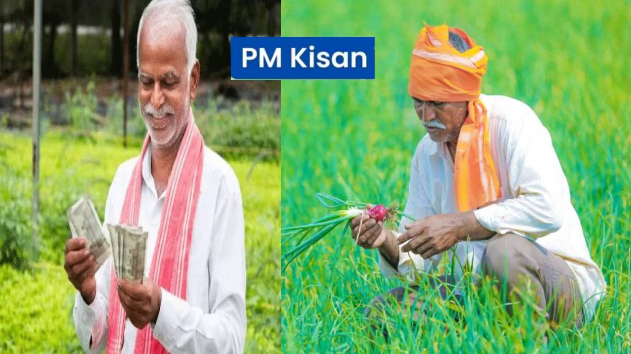 PM Kisan : పీఎం కిసాన్ రైతులకు గుడ్ న్యూస్.. వచ్చేవారమే 20వ విడత విడుదల? ఖాతాలో రూ. 2వేలు పడగానే ఇలా చెక్ చేయండి..! PM Kisan : పీఎం కిసాన్ రైతులకు గుడ్ న్యూస్.. వచ్చేవారమే 20వ విడత విడుదల? ఖాతాలో రూ. 2వేలు పడగానే ఇలా చెక్ చేయండి..!
