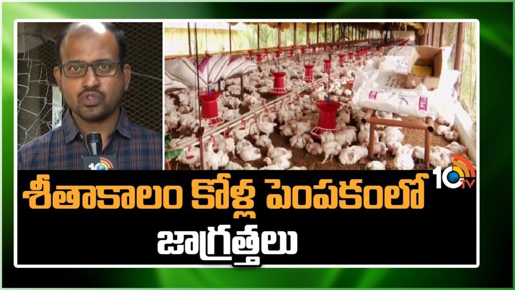 Poultry Farming