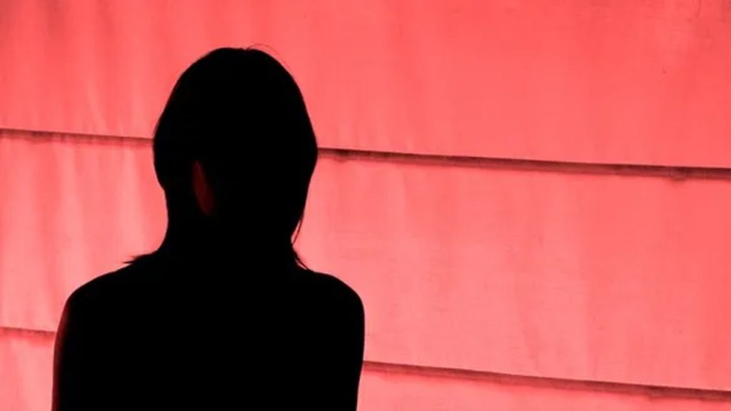Rajasthan Molestation in Bus