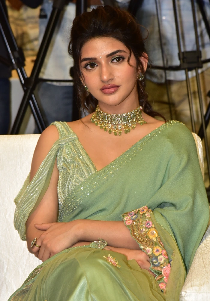 Sreeleela Saree Photos at Raviteja Dhamaka one Year Celebrations