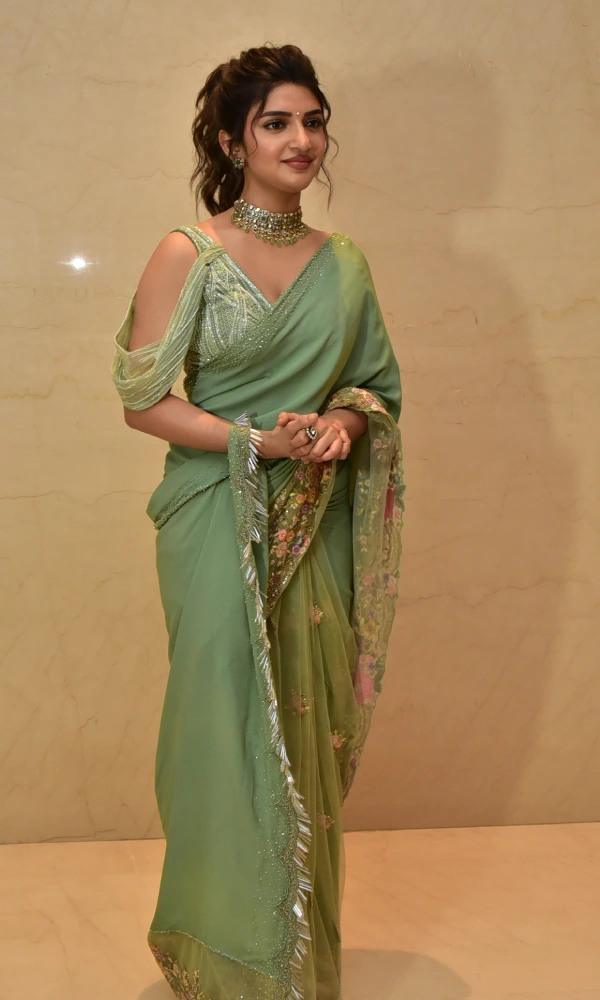 Sreeleela Saree Photos at Raviteja Dhamaka one Year Celebrations