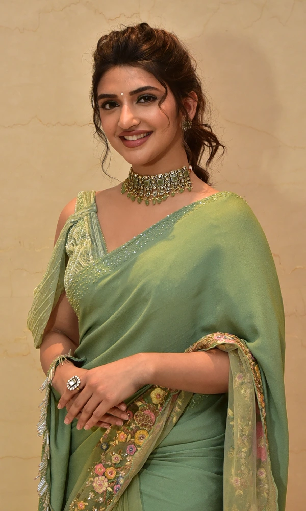 Sreeleela Saree Photos at Raviteja Dhamaka one Year Celebrations