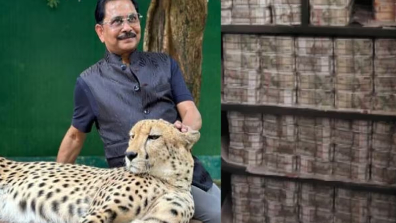 Dhiraj Prasad Sahu: కాంగ్రెస్ ఎంపీ బంధువుల ఇళ్లు, కార్యాలయాల్లో ఐటీ దాడులు.. రూ.150 కోట్లు సీజ్ Dhiraj Prasad Sahu: కాంగ్రెస్ ఎంపీ బంధువుల ఇళ్లు, కార్యాలయాల్లో ఐటీ దాడులు.. రూ.150 కోట్లు సీజ్