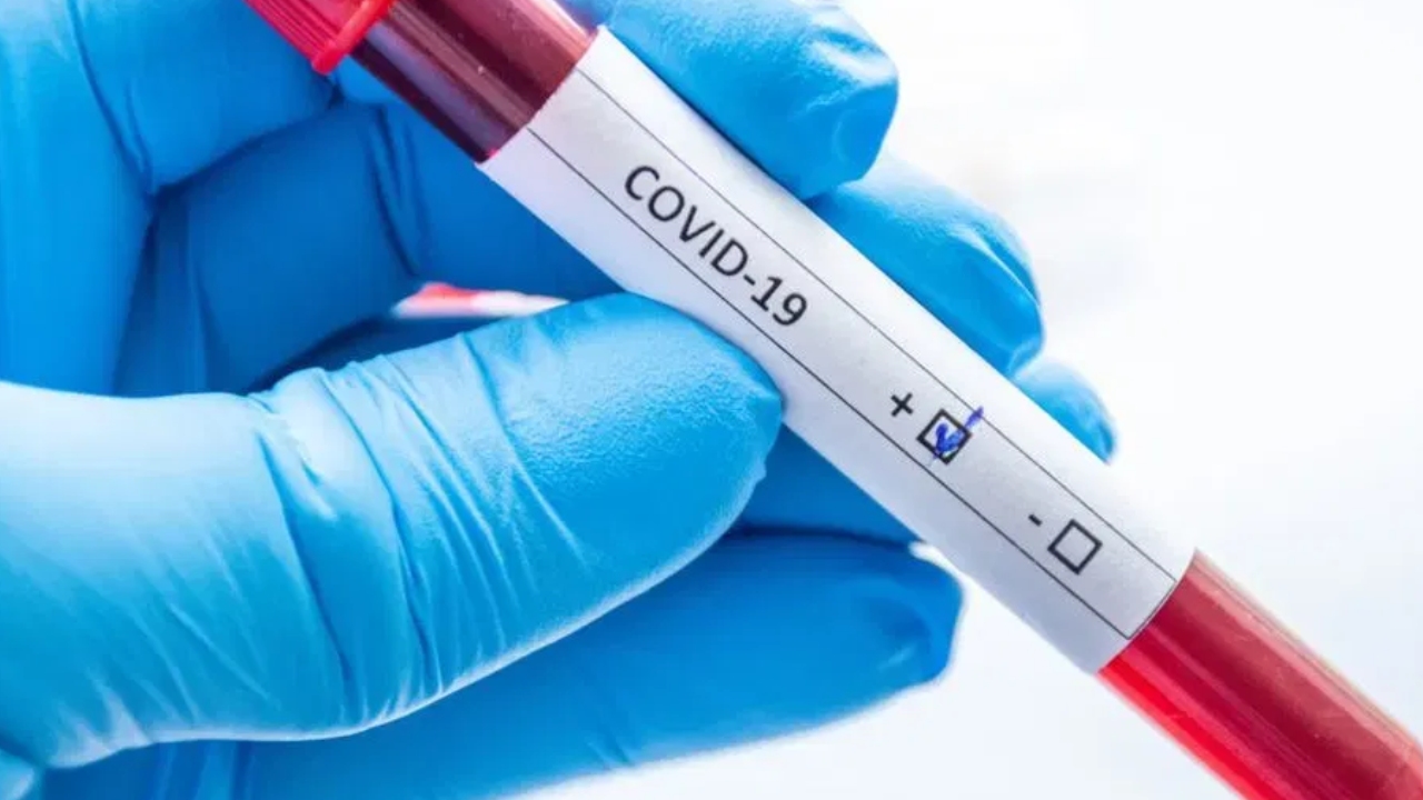 Covid-19 In India : దక్షిణాదిలో పెరుగుతున్న కోవిడ్ కేసులు.. తెలుగు రాష్ట్రాల్లోను మహమ్మారి కలవరం Covid-19 In India : దక్షిణాదిలో పెరుగుతున్న కోవిడ్ కేసులు.. తెలుగు రాష్ట్రాల్లోను మహమ్మారి కలవరం