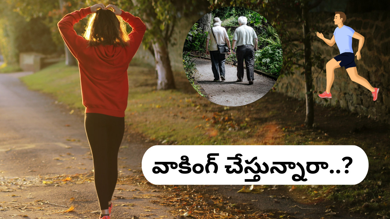 Walking Benefits: వ్యాయామం చేయలేకపోతున్నారా? కనీసం నడవండి.. పరిశోధనలో ఏం తేలిందంటే? Walking Benefits: వ్యాయామం చేయలేకపోతున్నారా? కనీసం నడవండి.. పరిశోధనలో ఏం తేలిందంటే?