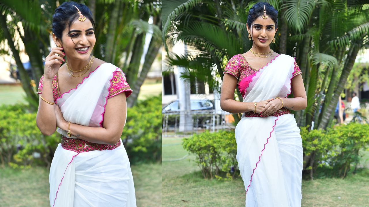 Ananya Nagalla : అనన్య హాఫ్ శారీ అందాలకు ఫిదా అవ్వాల్సిందే..