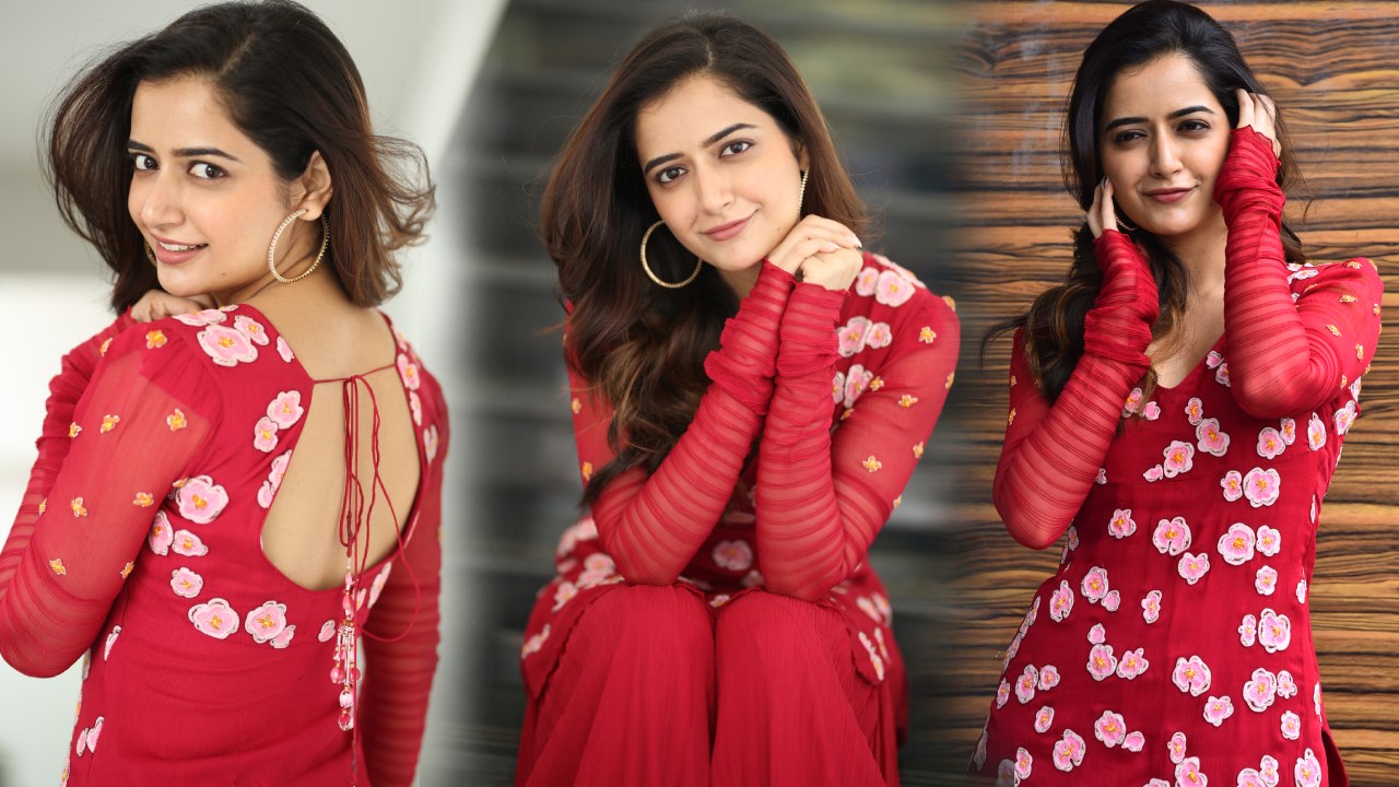 Ashika Ranganath : ఆషికా రంగనాధ్ క్యూట్ క్యూట్ అందాలు..