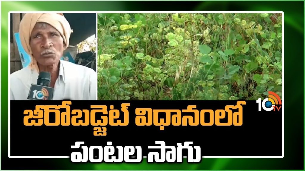 Cultivation of multiple crops in nature, Quality yield with low investment