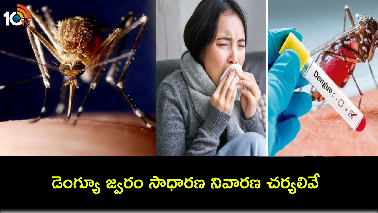 Dengue Fever : డెంగ్యూ జ్వరంతో జాగ్రత్త.. ఈ సింపుల్ 5 నివారణ చర్యలతో సురక్షితంగా ఉండొచ్చు! Dengue Fever : డెంగ్యూ జ్వరంతో జాగ్రత్త.. ఈ సింపుల్ 5 నివారణ చర్యలతో సురక్షితంగా ఉండొచ్చు!